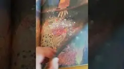 Jedan savršeno običan dan