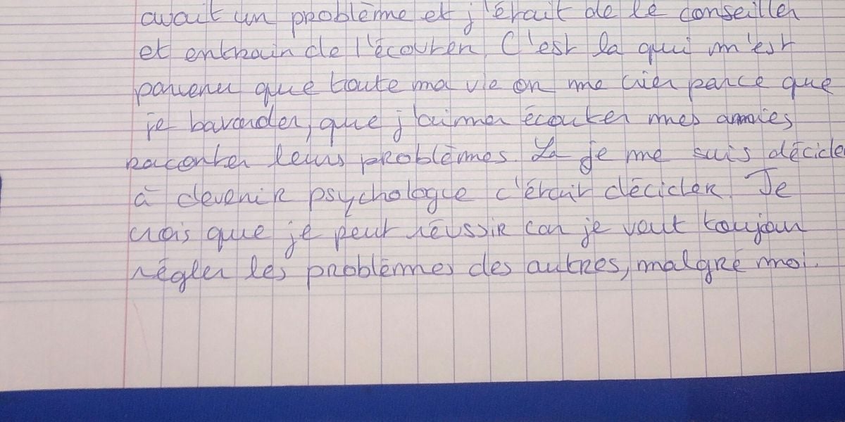 Ejemplo De Plan Pour L Orale Du Brevet