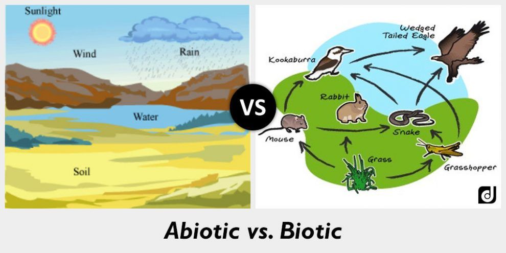 Abiotic factor вики