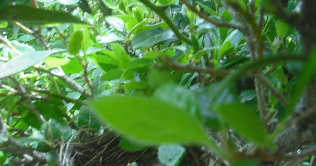 Image?t=c lfill,dpr 1,g auto,h 535,w 1020&url=https%3a%2f%2fpadletuploads.blob.core.windows.net%2faws%2f139489499%2fb8f28e43f67b6aa5b8355600713d4aa7%2f001